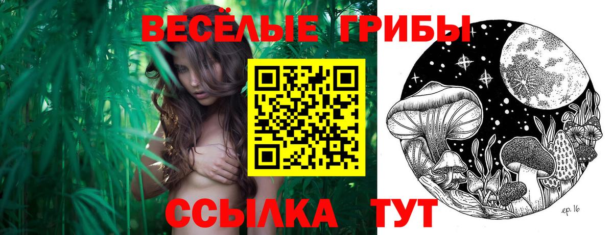 Псилоцибиновые грибы GOLDEN TEACHER  Вход с VPN  купить  сайты  Корсаков 