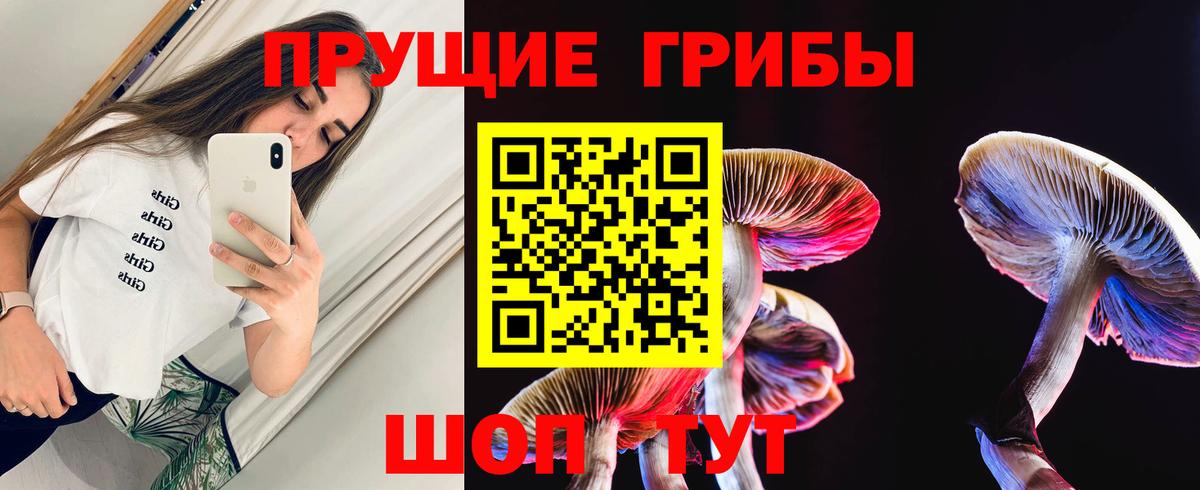Псилоцибиновые грибы мухоморы Корсаков
